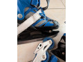 rastuce-korcule-35-38-small-1