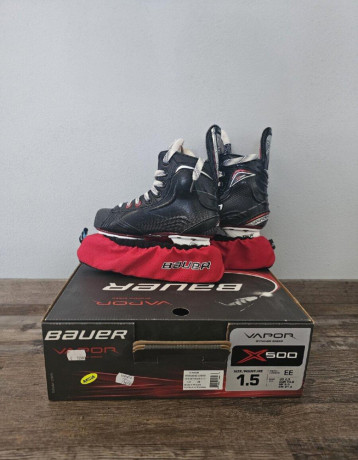 bauer-big-2