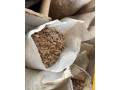 drvic-small-4
