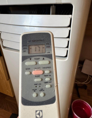 electrolux-big-1
