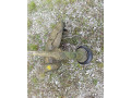 krovinorez-small-4