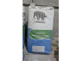 lepiaca-malta-caparol-capatect-haftmortel-fein-small-0