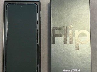 samsung-z-fli4