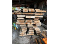 predam-bukove-fosne-small-0