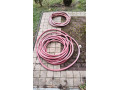 78-starsia-hadica-10m-small-0