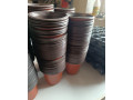 sadbovacmisky-na-plantu-small-3