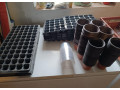sadbovacmisky-na-plantu-small-0