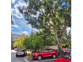 volkswagen-tiguan-15-etsi-evo-dsg-7-rv-2025-96-kw-small-1