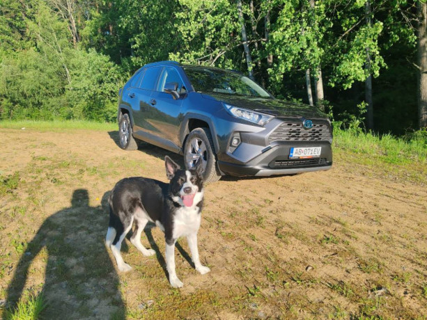 toyota-rav4-25-hybrid-e-cvt-selection-fwd-big-2