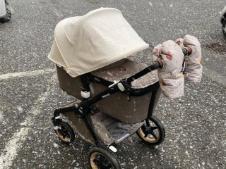 bugaboo-fox-2-mineral-taupe