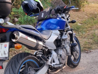 honda-hornet-600