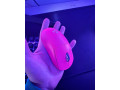 herny-pc-hall3000-small-3