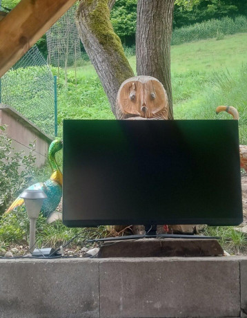 monitor-big-1