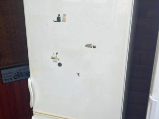 chladnicka-gorenje