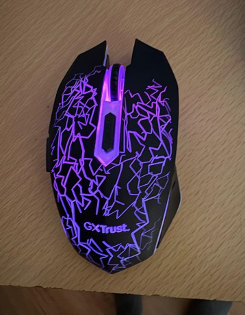 gamingxtrust-wireless-big-2