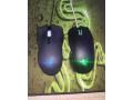 razer-taipan-a-lachesis-small-1