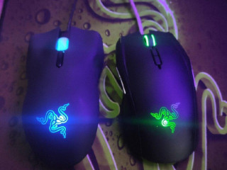 razer-taipan-a-lachesis