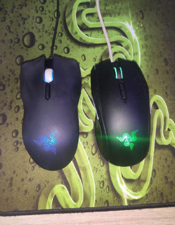 razer-taipan-a-lachesis-big-1
