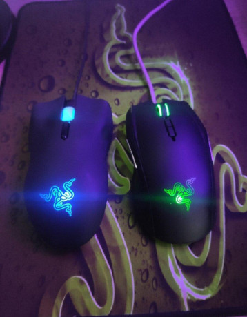 razer-taipan-a-lachesis-big-0