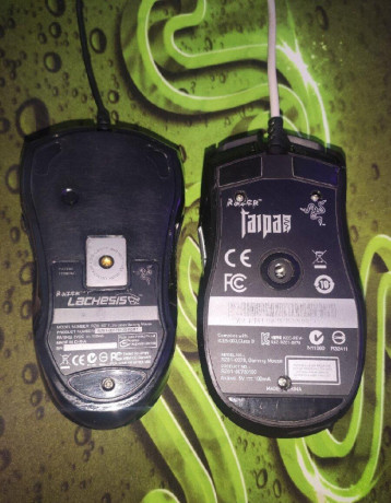 razer-taipan-a-lachesis-big-2
