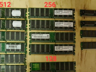 ram