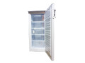 mraznicka-amica-fzc-2083aa-small-2