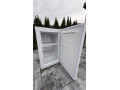 skrinova-mraznicka-gorenje-61-l-small-1