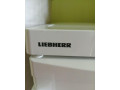 mraznicka-liebherr-small-0
