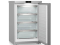 mraznicka-liebherr-small-0