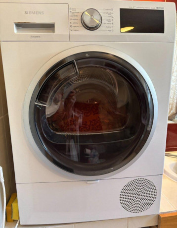 susicka-siemens-big-0