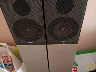 predaml
