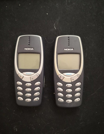 mam-na-predaj-dve-nokie-3310-su-funkcne-big-0
