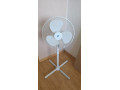 rozpredaj-elektra-small-0