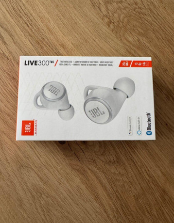 jbl-300-tws-big-0