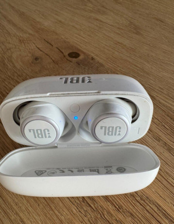 jbl-300-tws-big-4