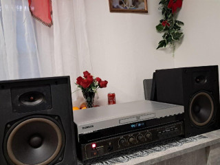 tesla-hifi-system