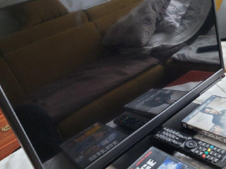 televizor-plus-dvd