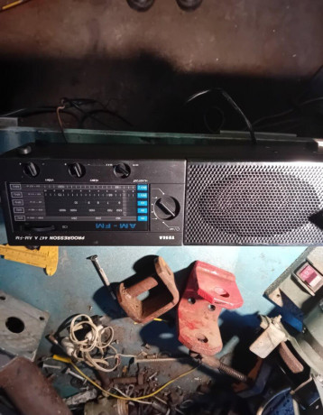 radio-tesla-progresion-447-big-0
