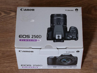 canon-250d-canon-ef-50mm-f18-iba-3000-snimkov