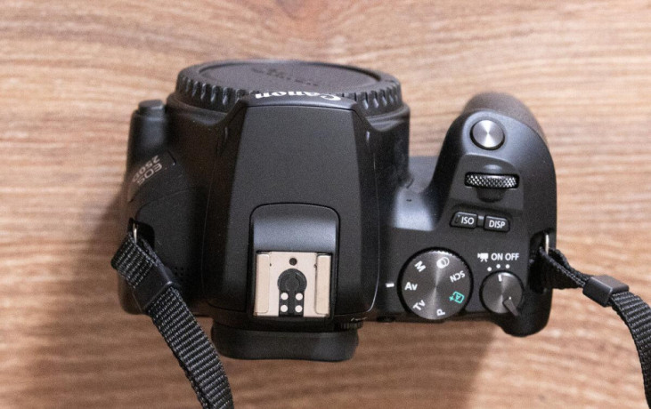 canon-250d-canon-ef-50mm-f18-iba-3000-snimkov-big-2