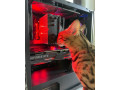 herny-pc-i7-7700k-rtx-2070-super-256gb-ssd-small-2