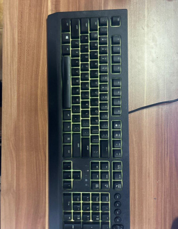 razer-cynosa-v2-big-0