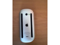 apple-small-4