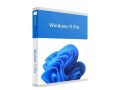 windows-11-pro-small-0