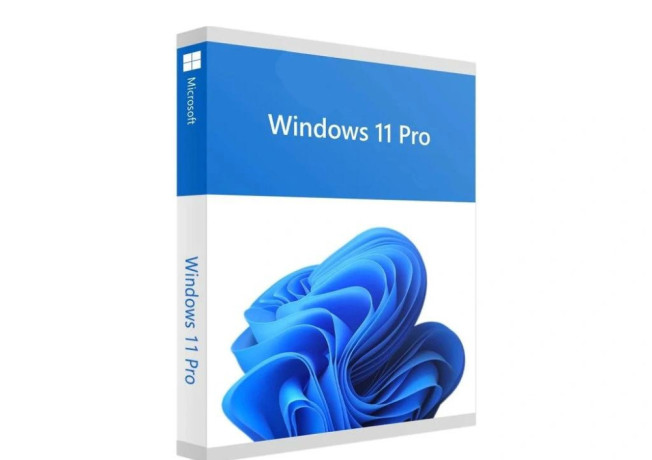 windows-11-pro-big-0