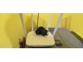 wifi-router-tenda-cdf7ao-small-1