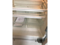 miele-kombinovana-chladnicka-s-mraznickou-small-3