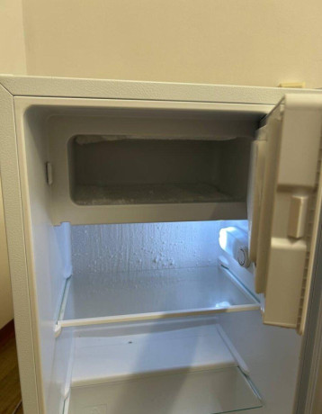 predam-chladnicku-gorenje-rb39epw4-big-2