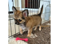 civava-s-pp-small-3