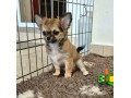 civava-s-pp-small-2